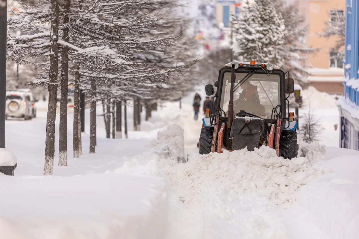 Snowplow clearing a snow-covered street lined with frosted trees