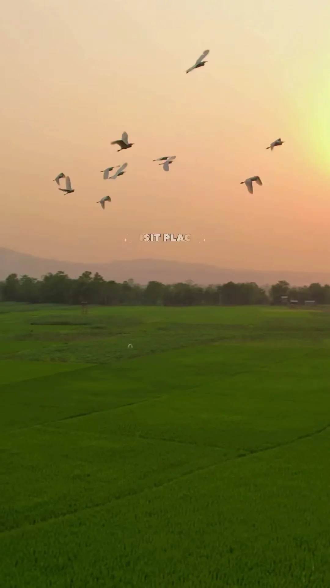 Madi Village, Chitwan