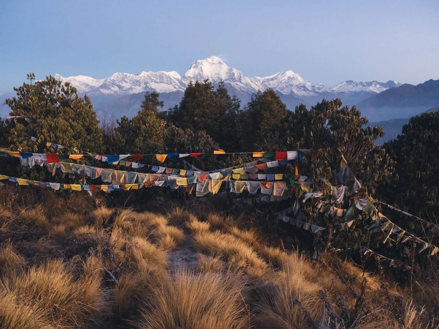 Poon Hill Trek