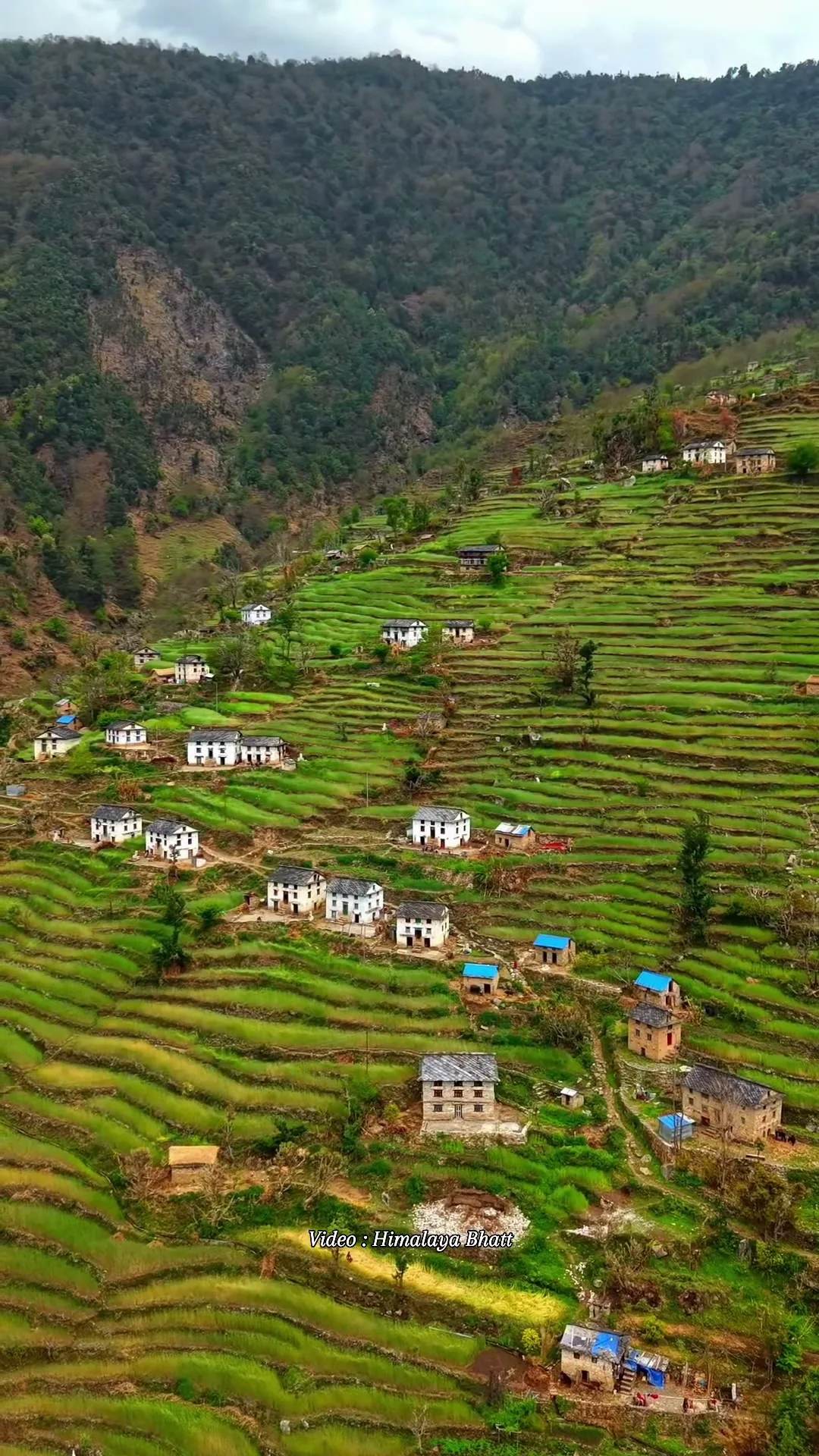 Khaptad reel