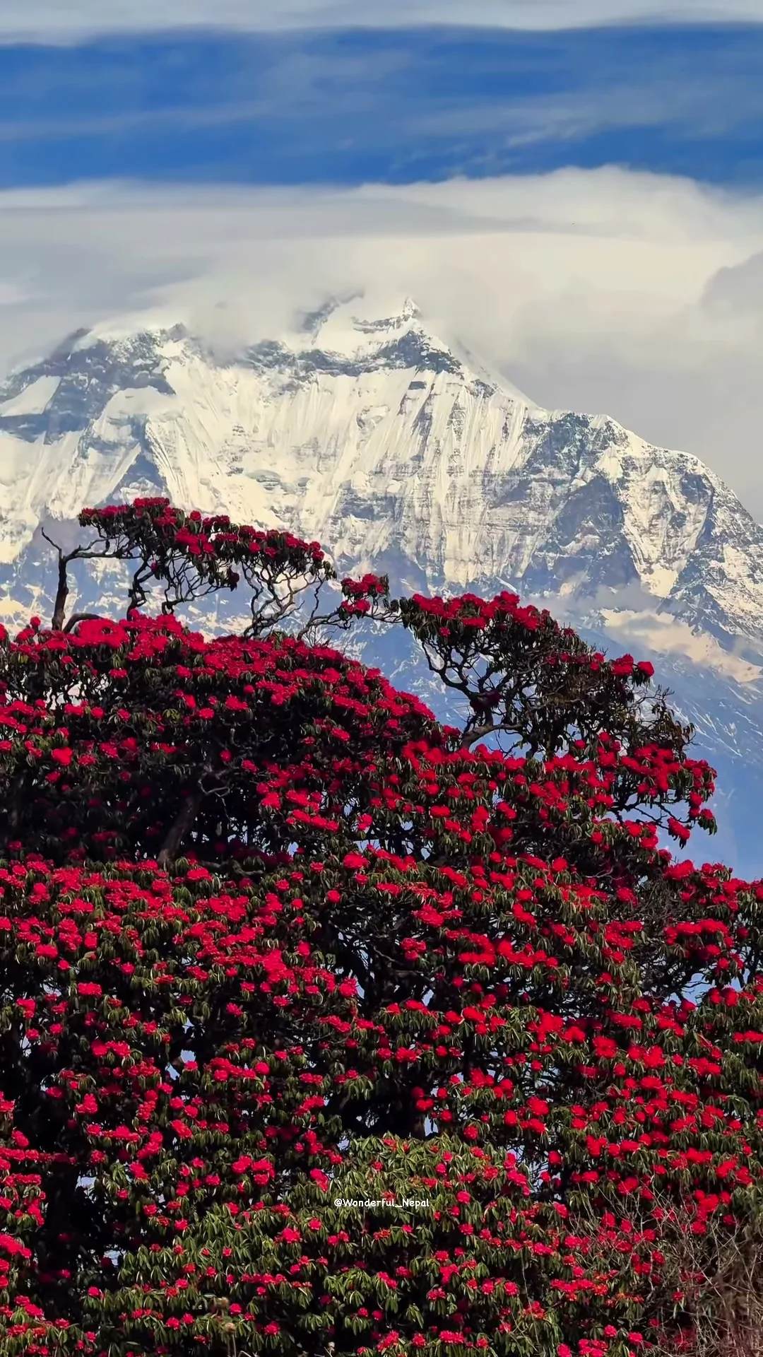 Ghorepani, Poonhill