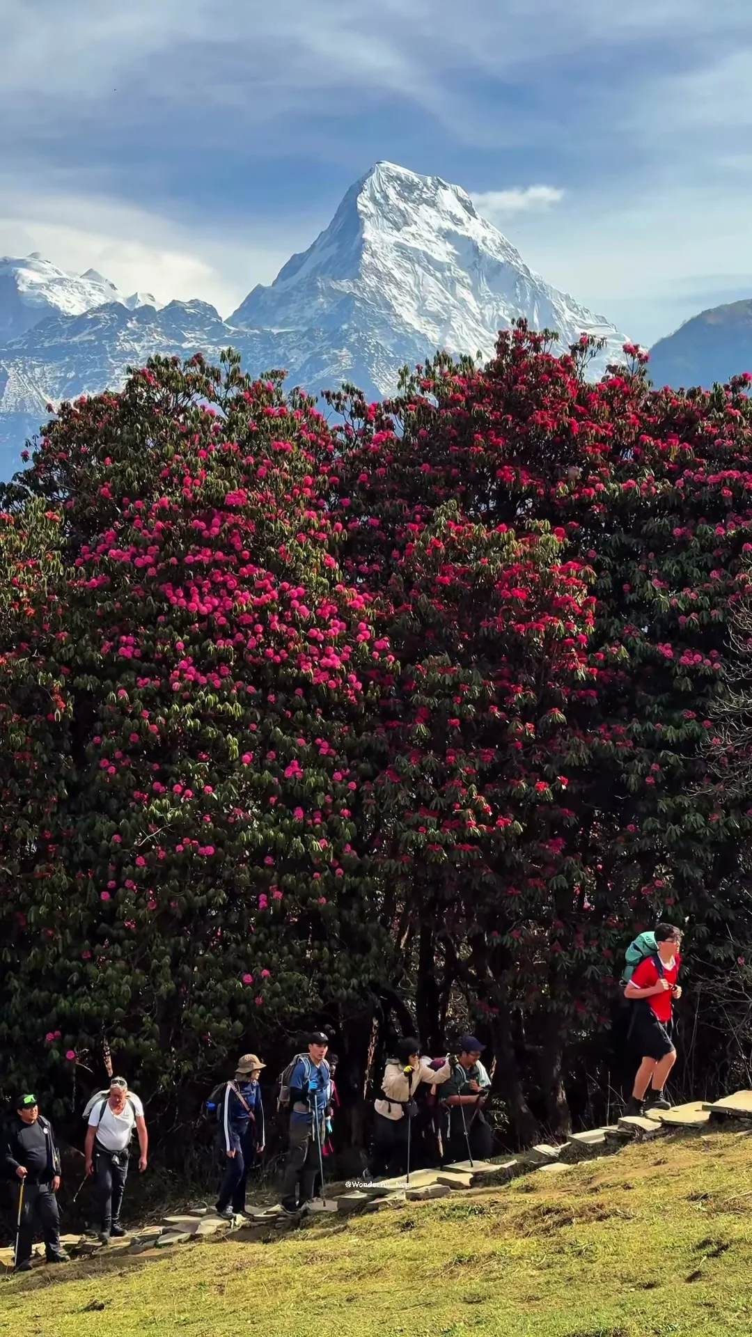 Ghorepani, Poonhill II
