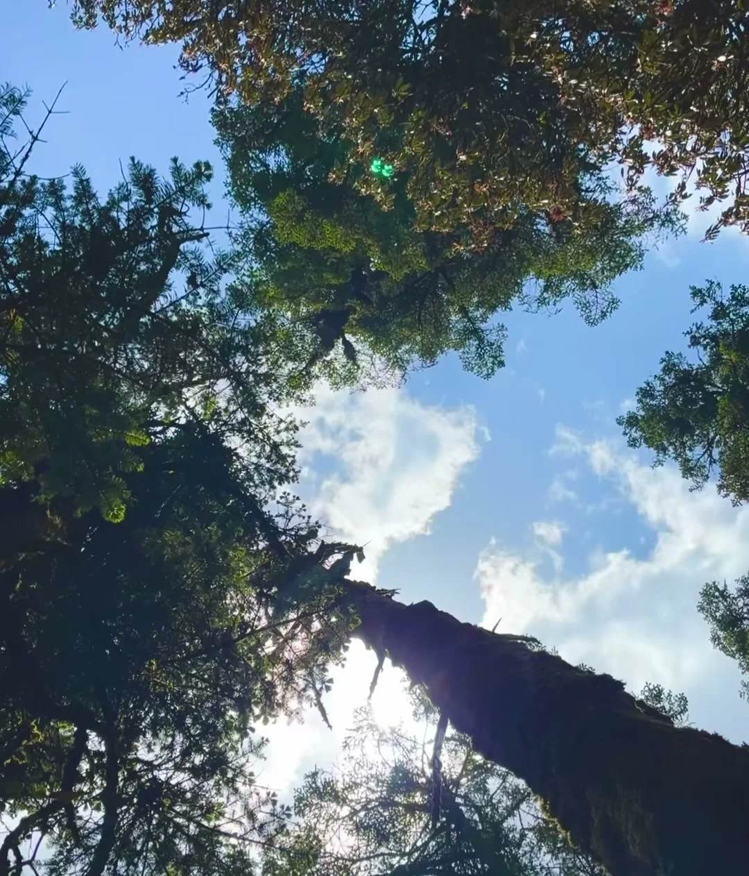 Khaptad National Park