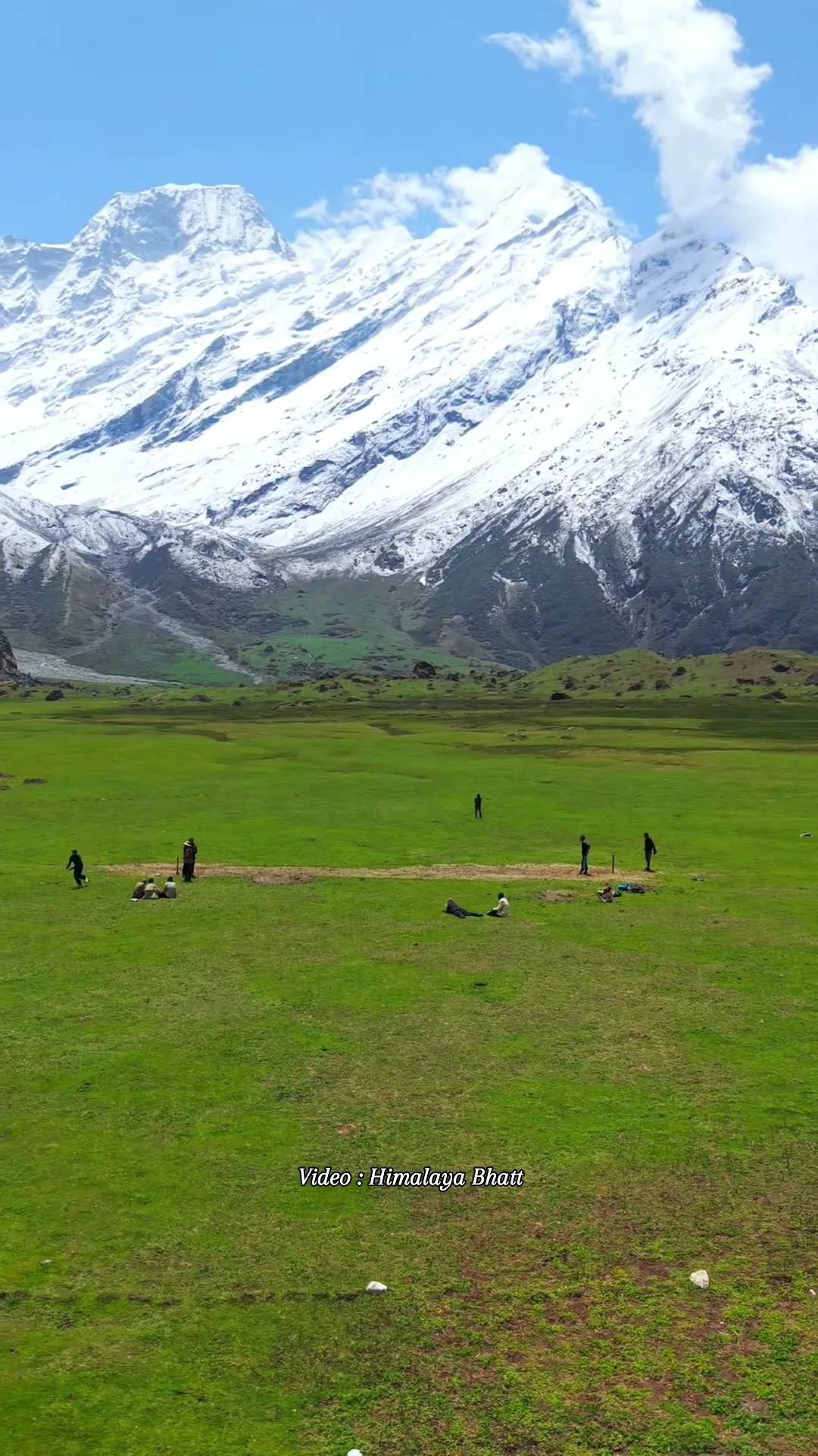 Alpine meadow beneath snow peaks