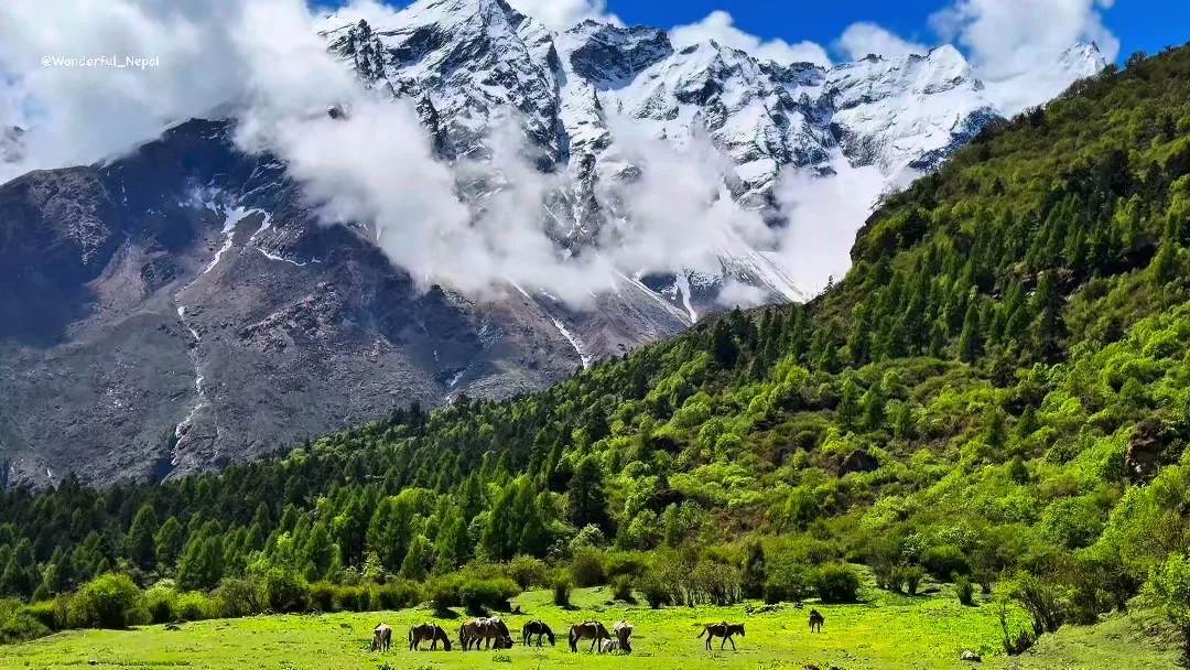 Manaslu trekking