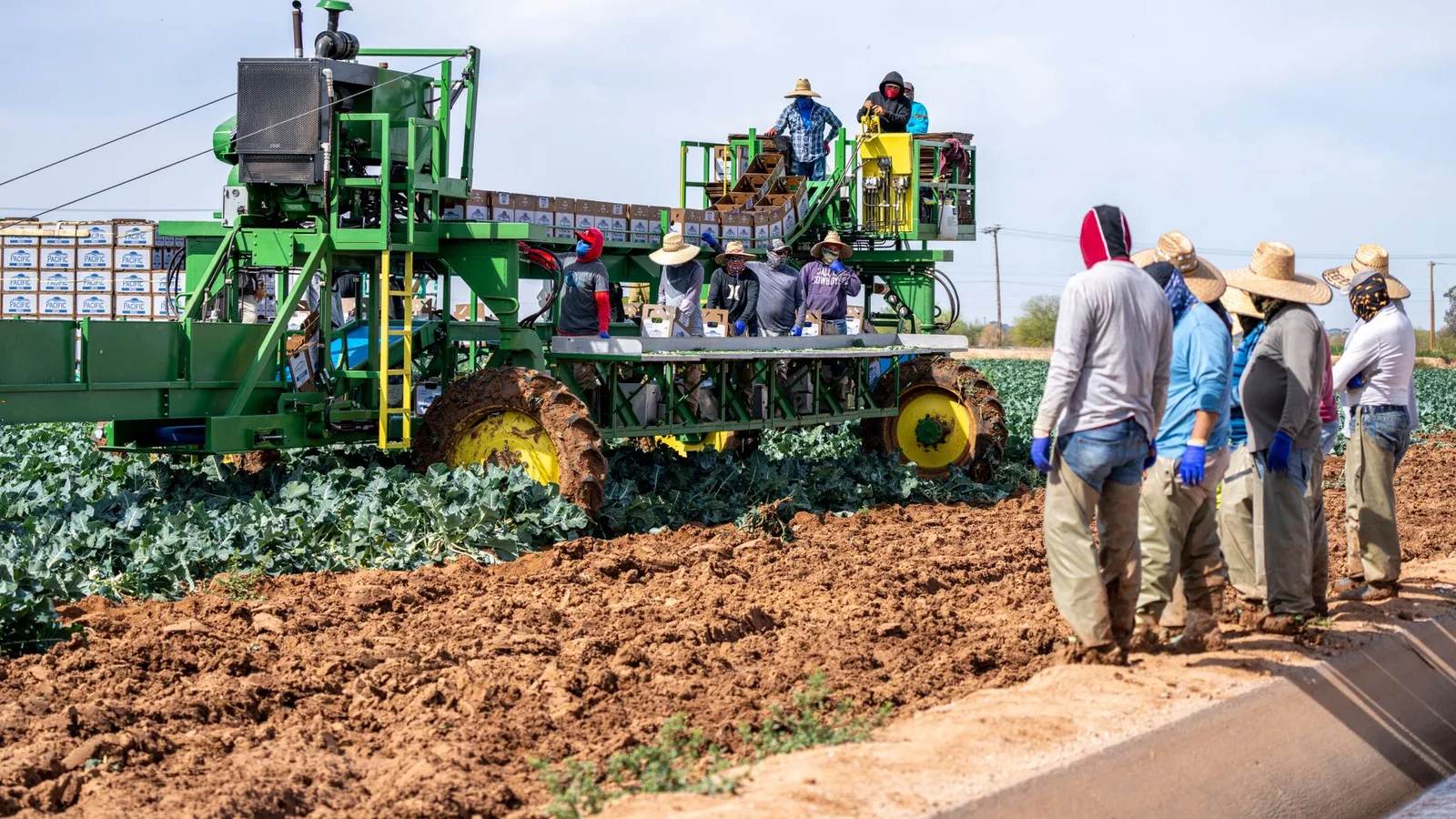 Farmers Just Got Australia to Fast-Track Backpacker Visas, Here’s Who Actually Qualifies