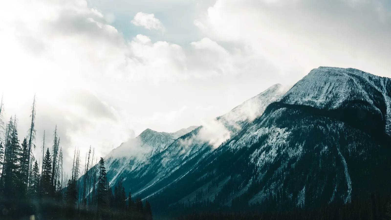 Banff National Park Just Hit Its Seventh Hiking Death of the Year, and the Victim Was a Professional Guide Hiking Alone