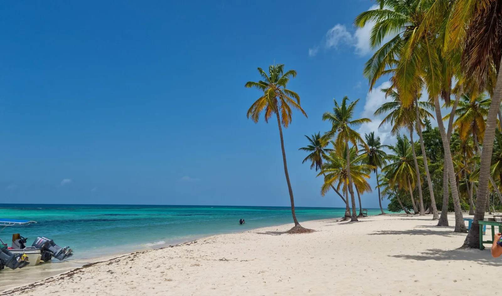 A palm-fringed tropical beach with soft white sand and clear turquoise water — the kind of low-cost coastline where a beach holiday budget stretches furthest