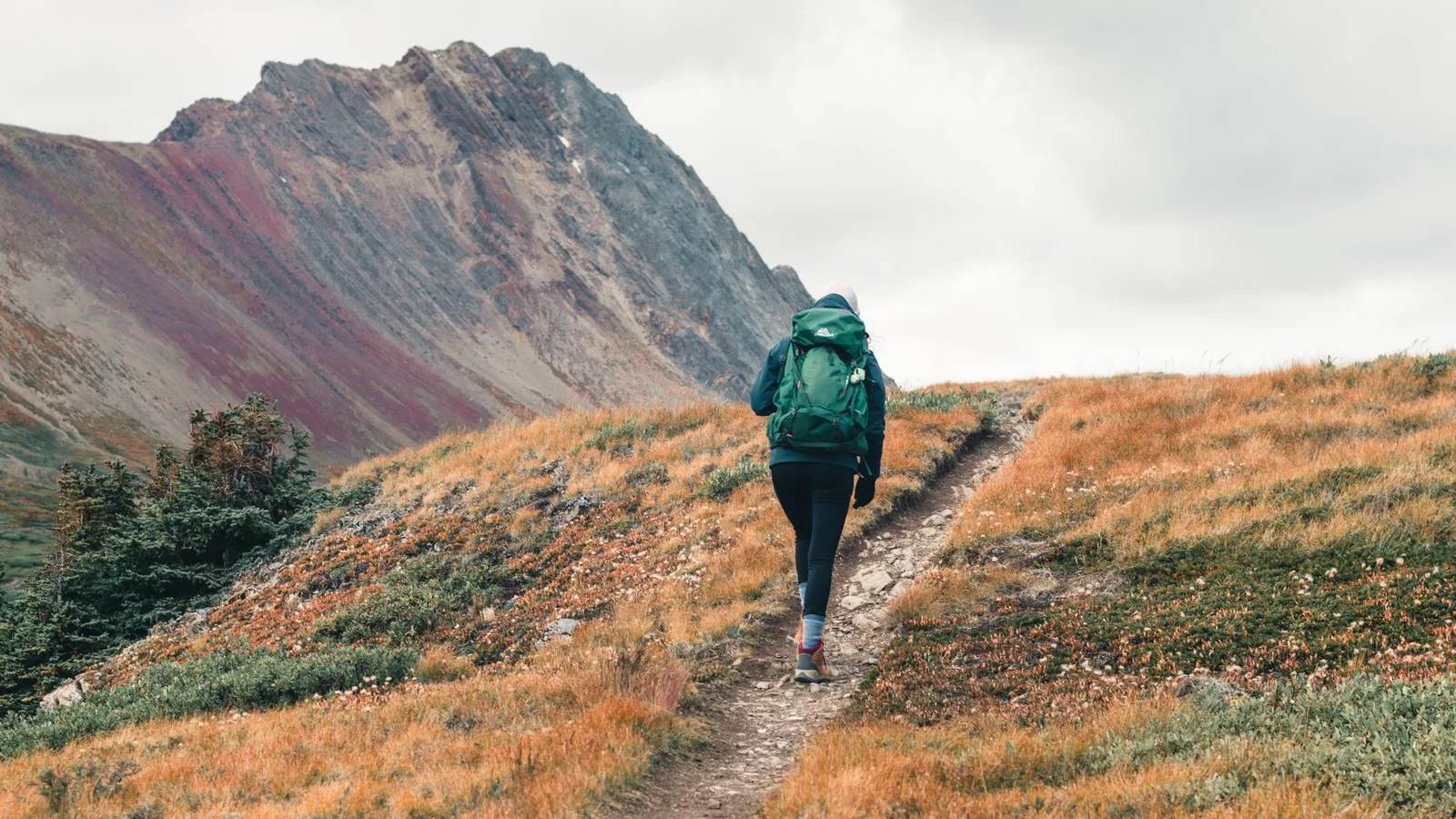 New Research Just Found the Exact Weight Where Your Trekking Pack Starts Hurting Your Feet