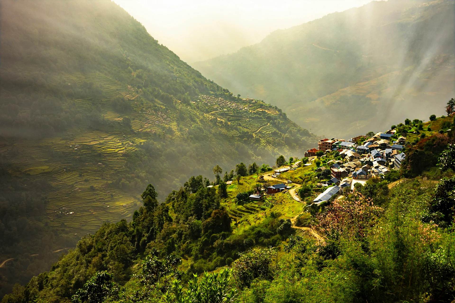 Green monsoon-season hills in Nepal
