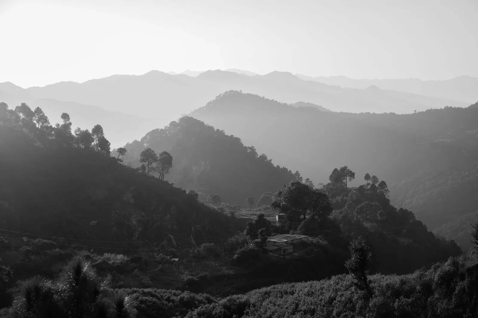 What Vaccines Do You Actually Need Before a Nepal Trek in 2026? The CDC's Official Guidance