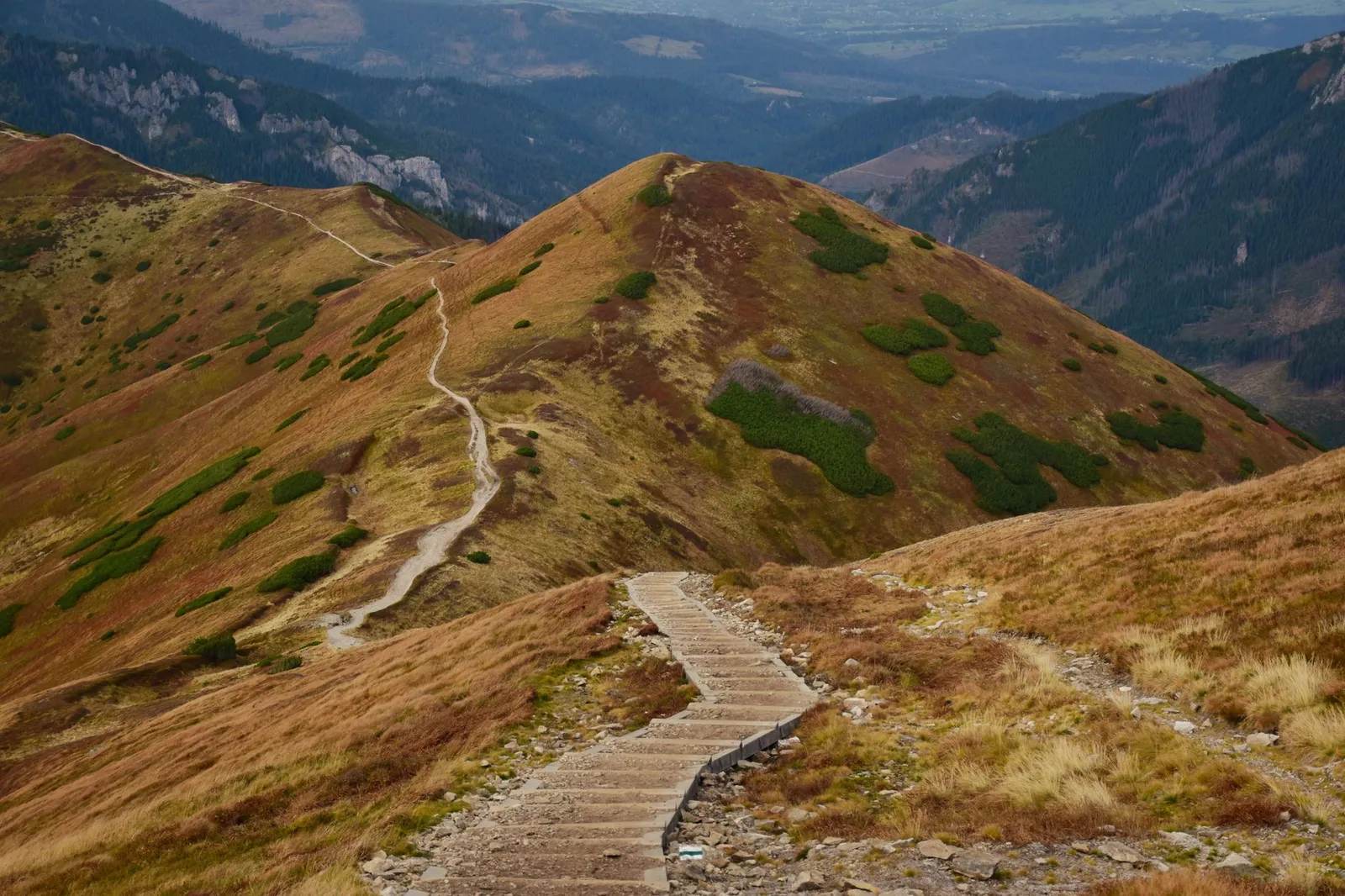A quiet mountain trail winding through golden autumn larch forest — travelling in the shoulder season