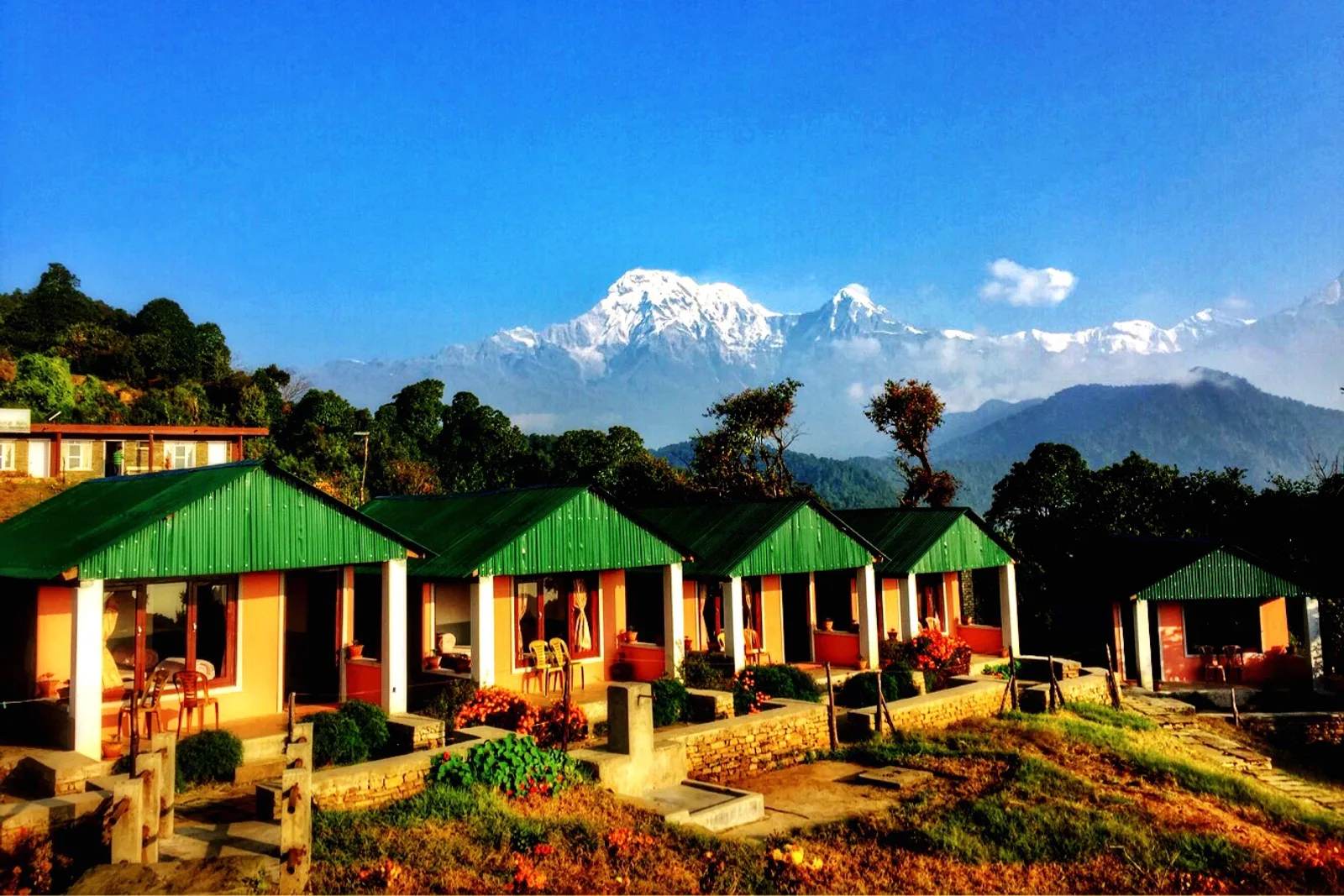 Annapurna sunrise from Australian Camp above Dhampus near Pokhara, Nepal