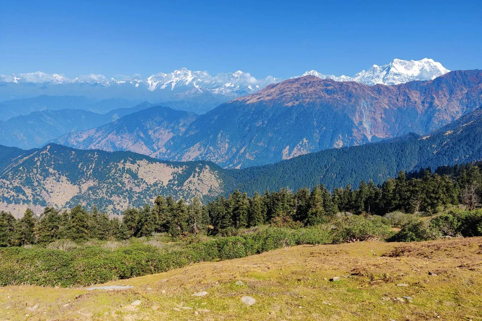 Khaptad National Park trek — far-west Nepal's grassland plateau, meadows and Khaptad Baba ashram