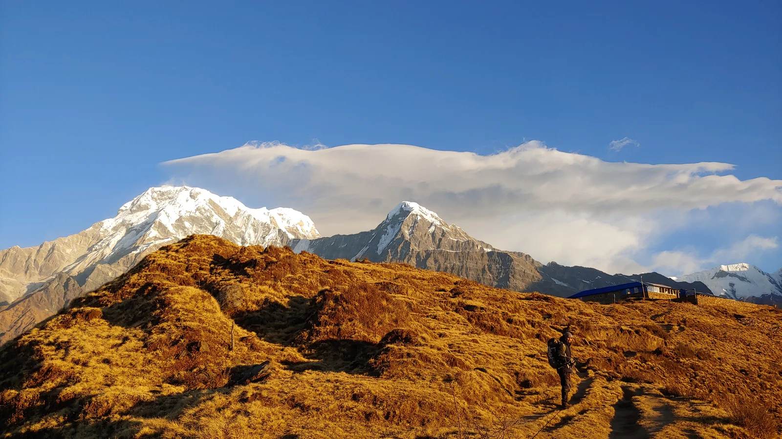 Mardi Himal Trek — 7 Days