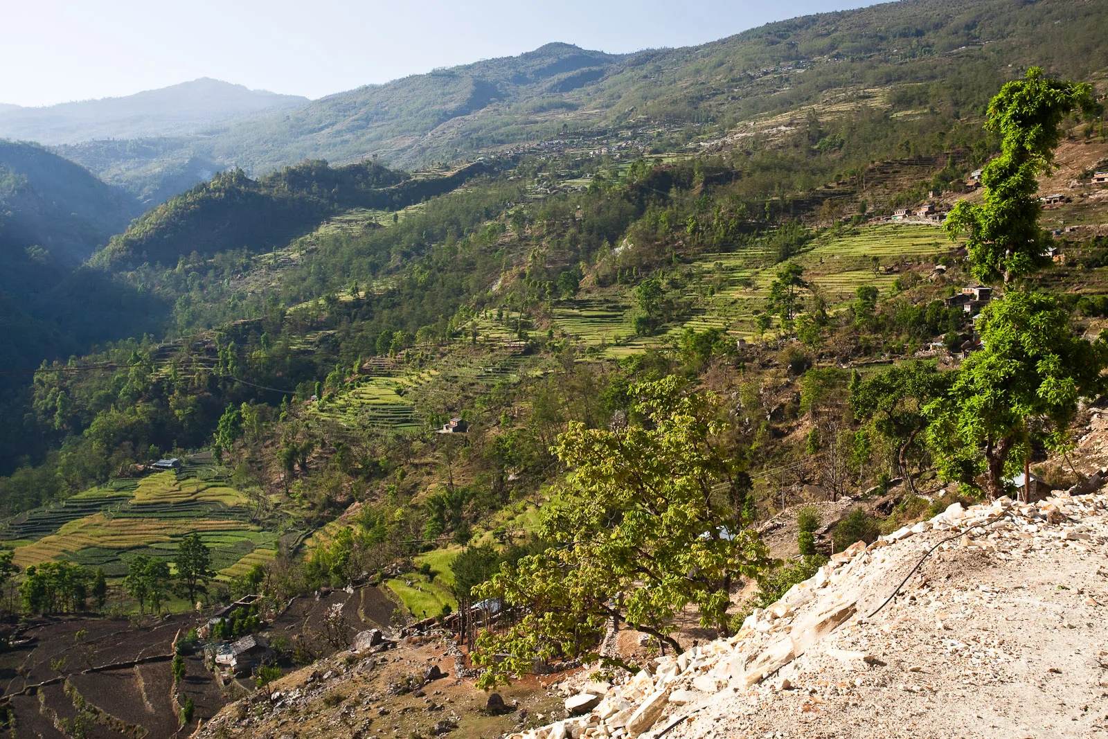 Nepal Family Trek — 8 Days Kathmandu + Poon Hill