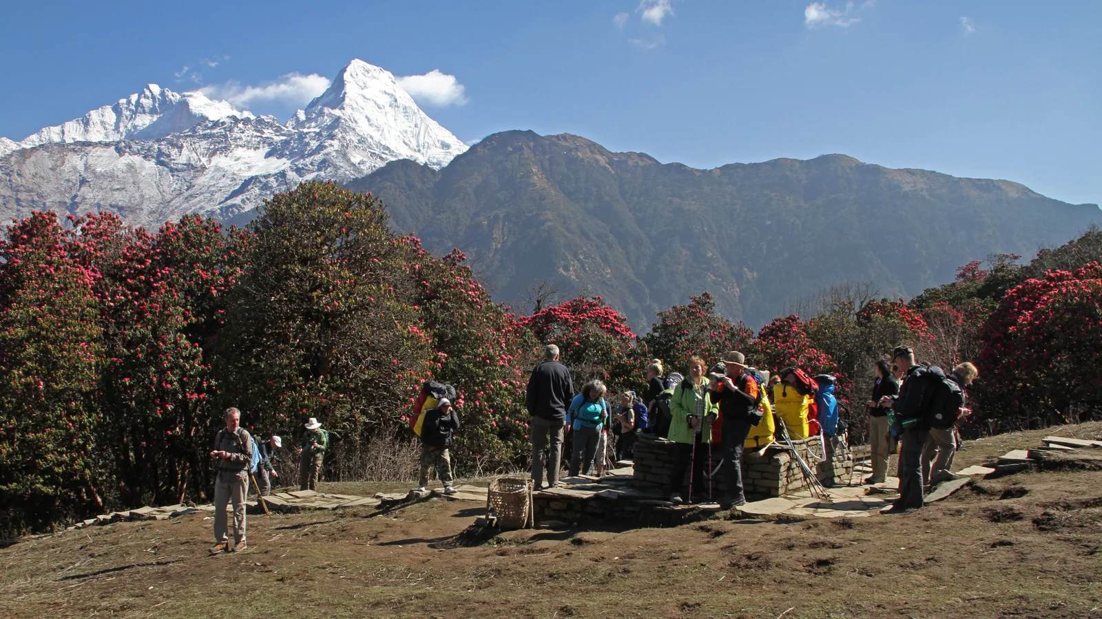 Ghorepani Poon Hill Trek — 2 Days
