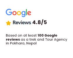 Google Reviews 4.8 / 5