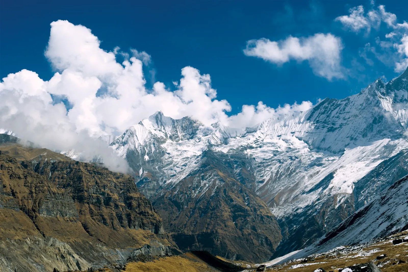 Annapurna Panorama Trek — 7 Days