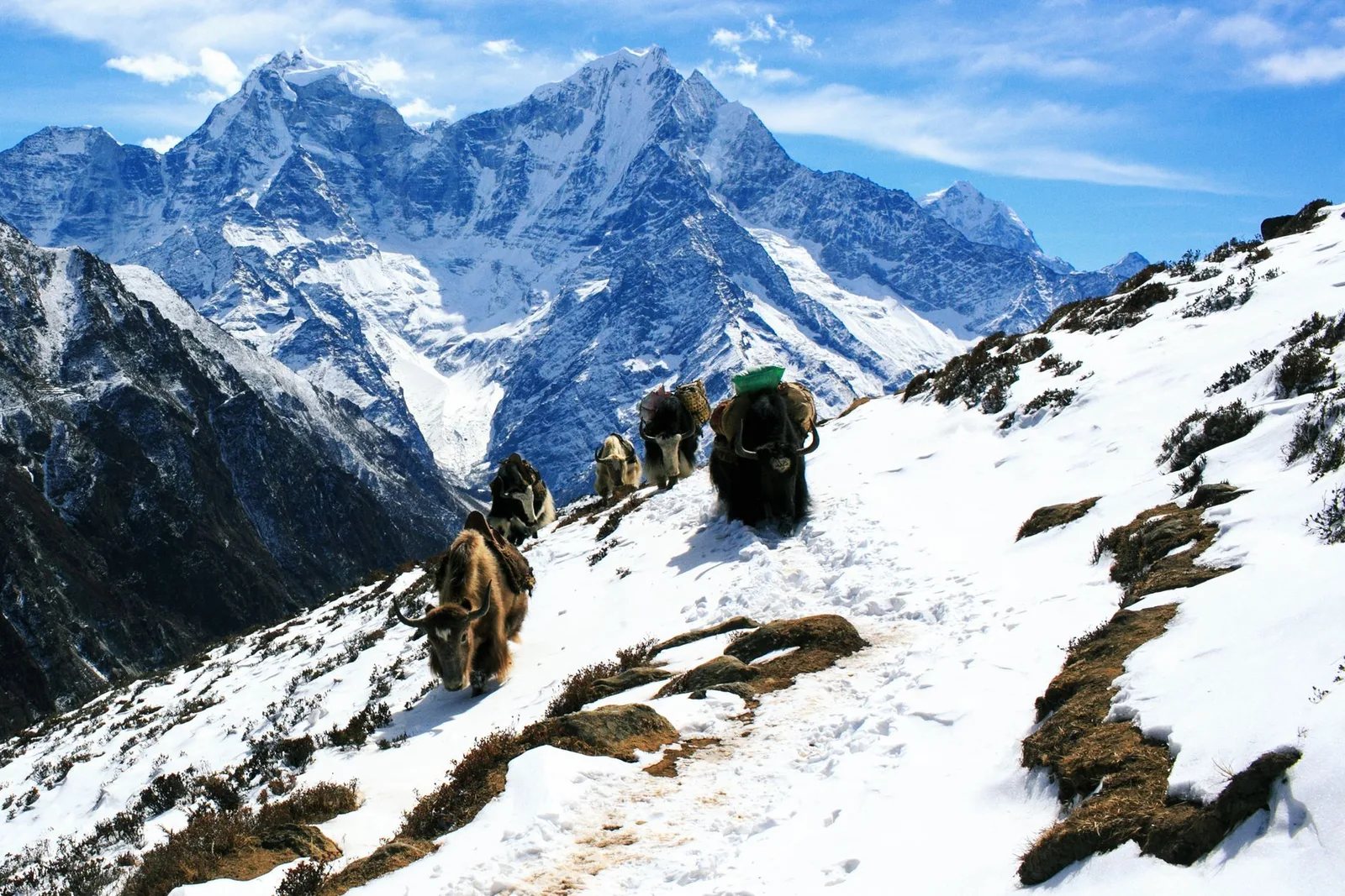 Peak Climbing