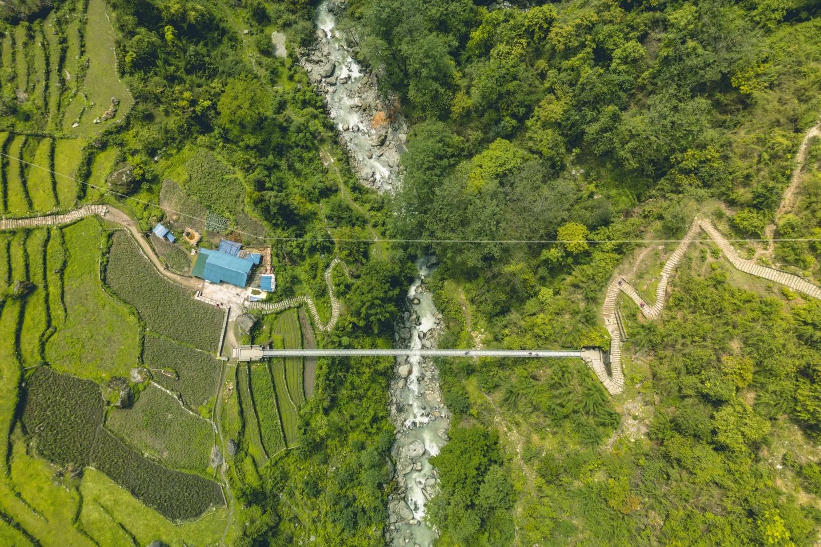 Rhododendron forest and hill villages on the Mundhum Trail, eastern Nepal