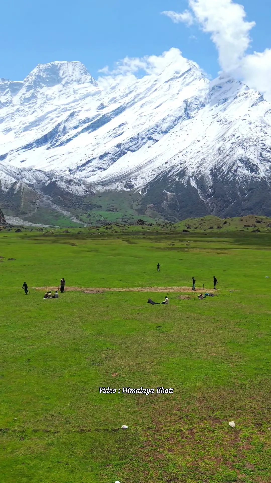 Alpine meadow beneath snow peaks