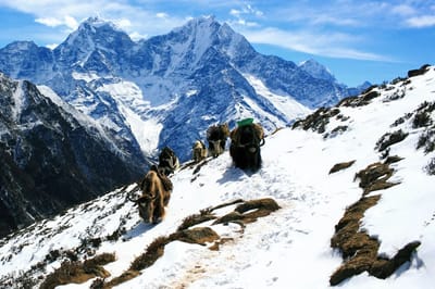Mera Peak Climbing — 15 Days