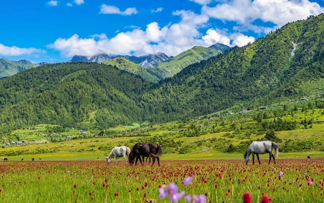 Baglung — Dhaulagiri, Nepal
