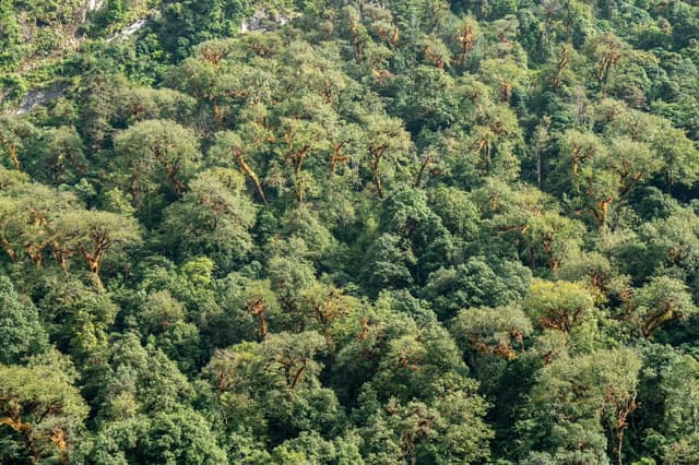 Manaslu — Kathmandu, Nepal