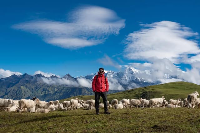 Dhorpatan — Dhaulagiri, Nepal