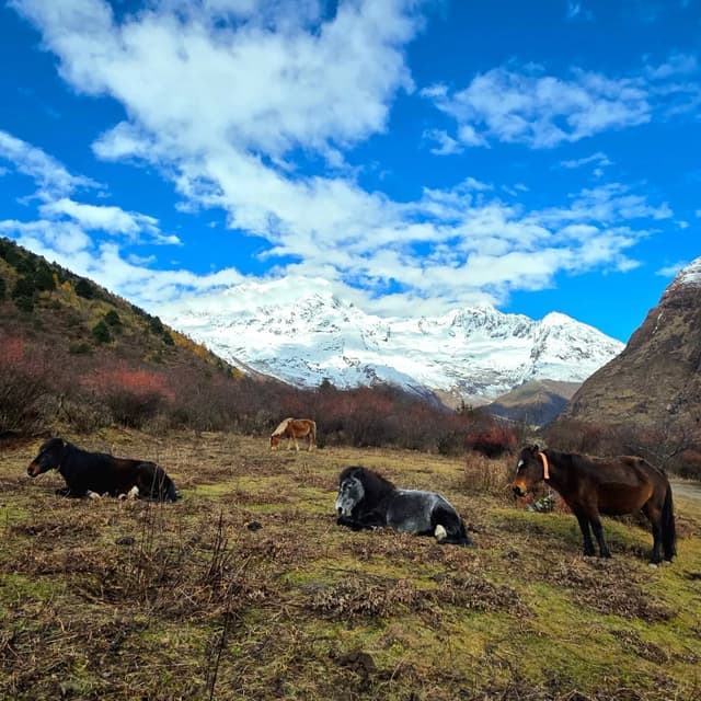 Tsum Valley Trek Guide 2026 — Manaslu, Nepal