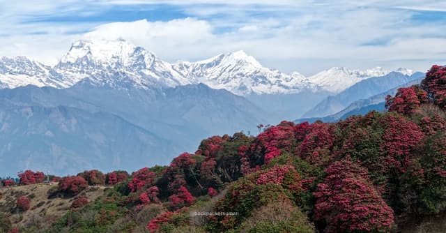 Mardi Himal Trek Guide 2026 — Annapurna, Nepal
