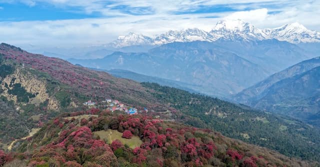 Mardi Himal Trek Guide 2026 — Annapurna, Nepal