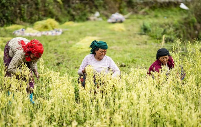The Ultimate Guide to the Annapurna Base Camp Trek ABC — Annapurna, Nepal