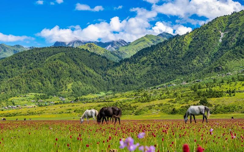 Baglung — the Dhaulagiri region, Nepal