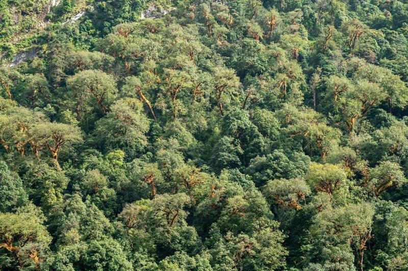 the Kathmandu Valley — the Kathmandu Valley, Nepal