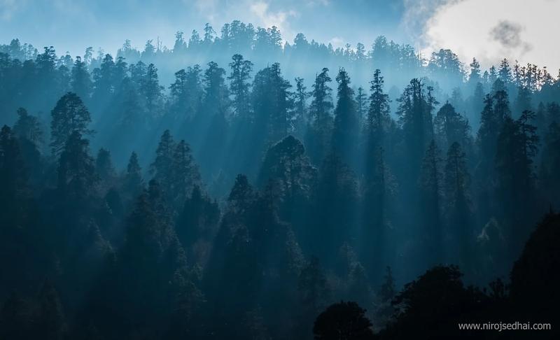 the Annapurna region — the Annapurna region, Nepal