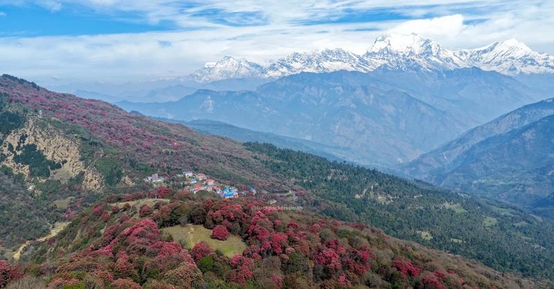the Annapurna region — the Annapurna region, Nepal