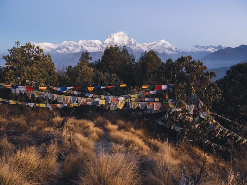 Dawn view of the Himalaya from Poon Hill, Nepal