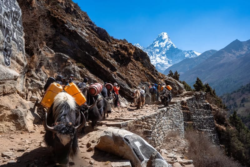 High ridge views in the Everest region