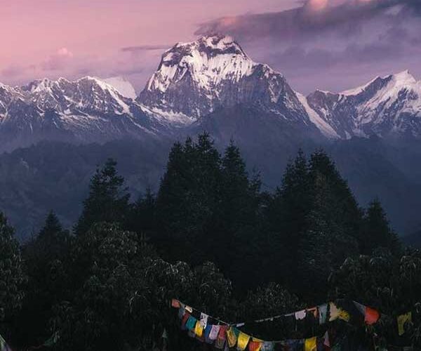 Ghorepani Poon Hill trek