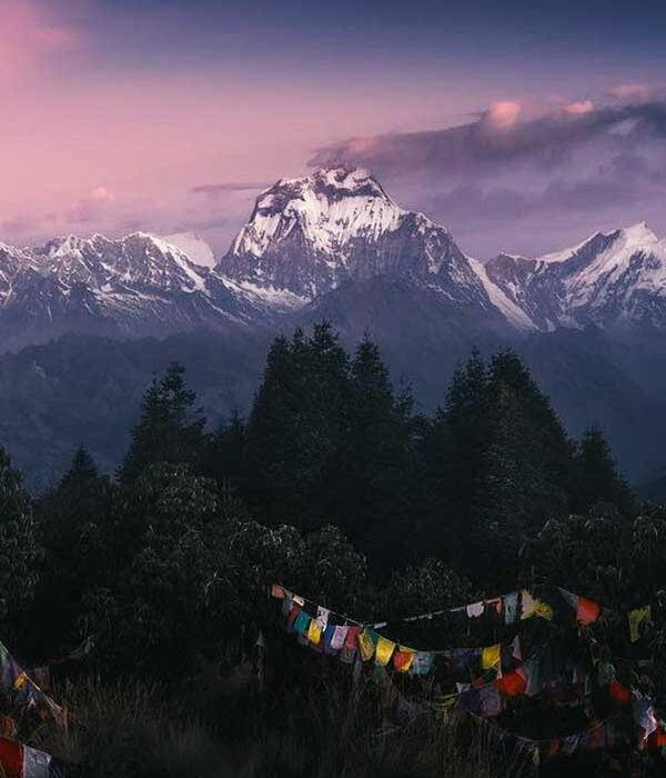 Ghorepani Poon Hill trek